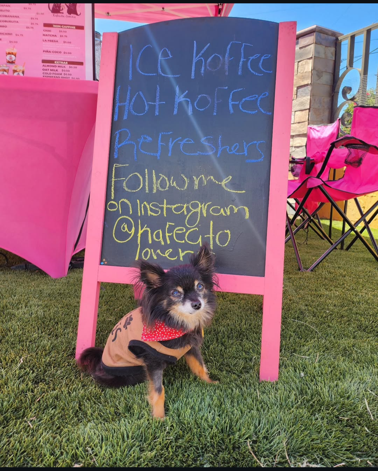 Pet moment at the coffee cart pop-up