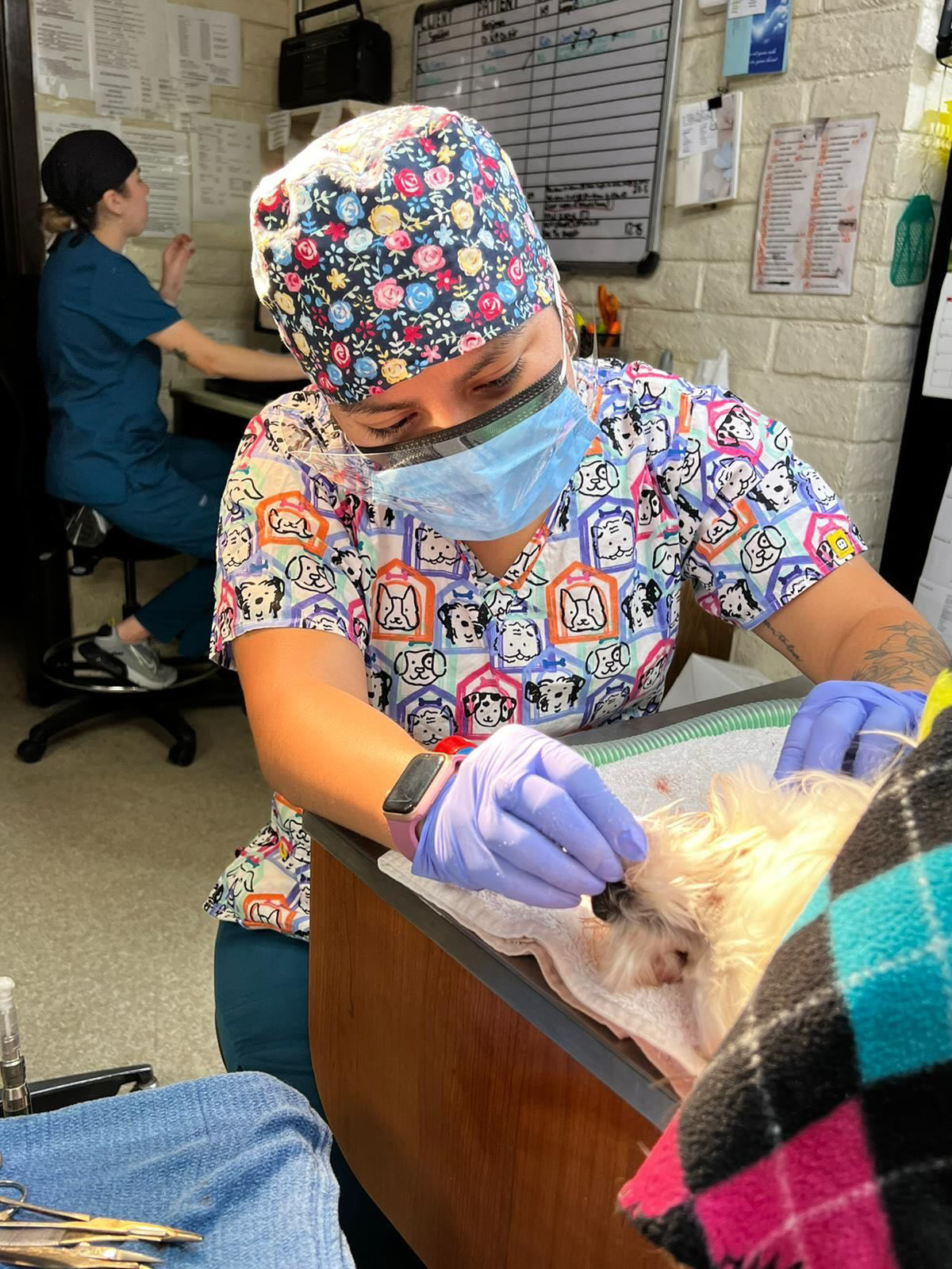Animal care moment from vet tech job