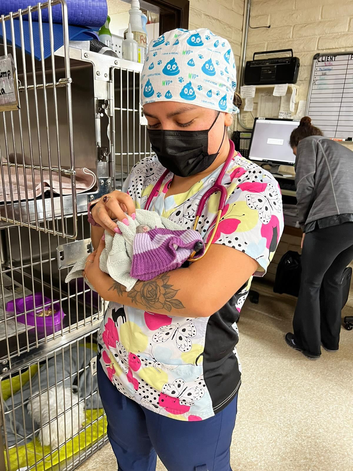 Daily veterinary technician work moment