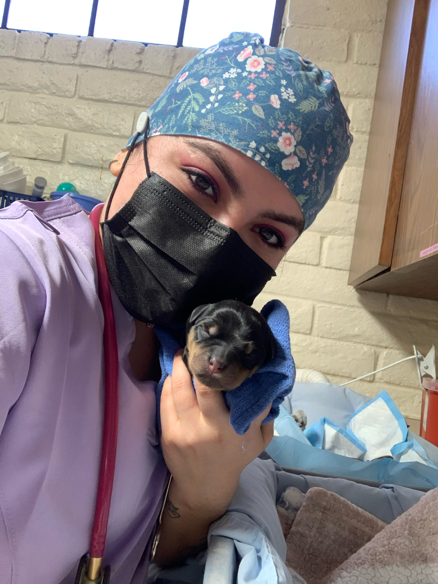 Vet tech care and animal support work