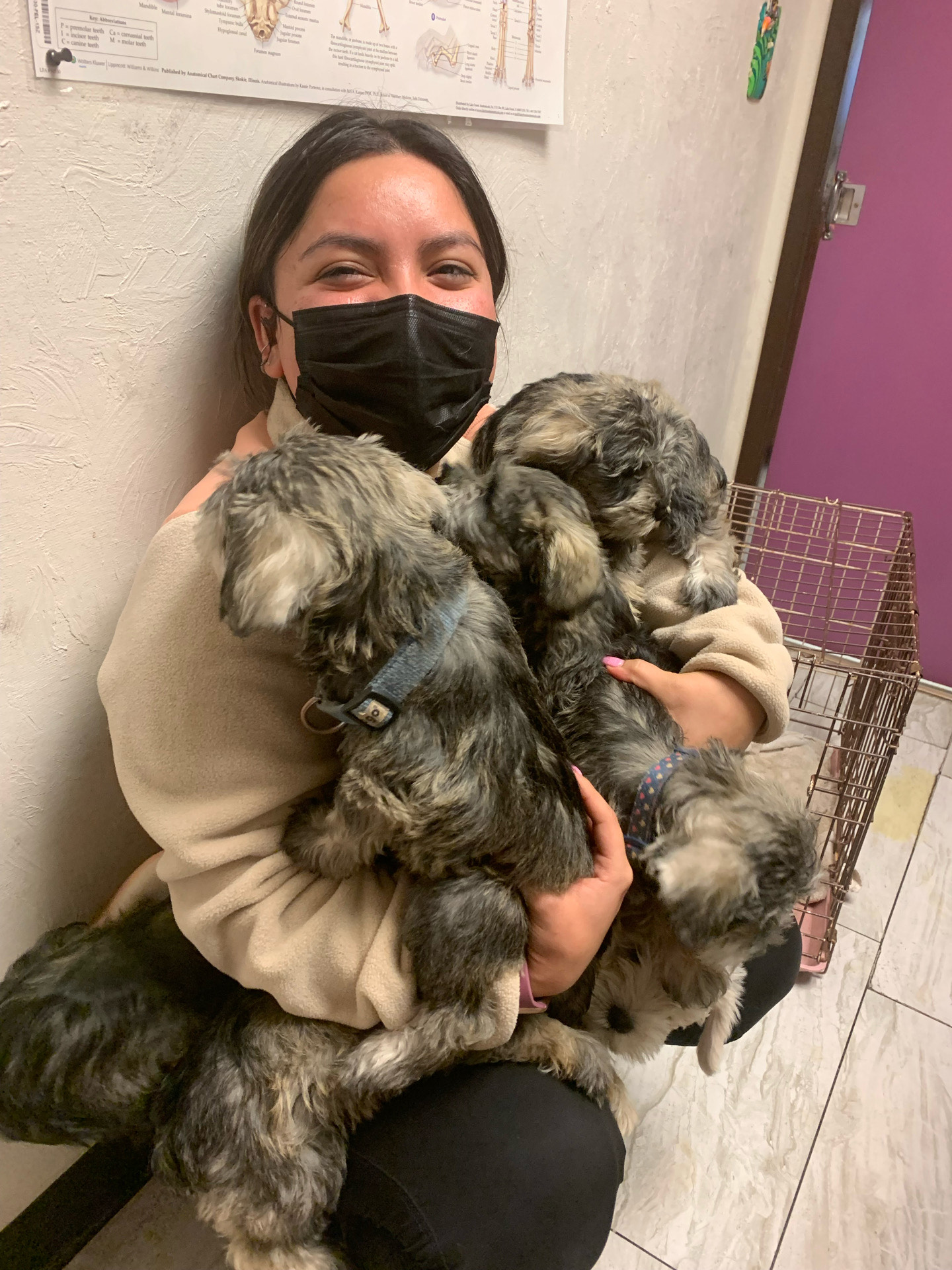 Kimberly working as a vet tech